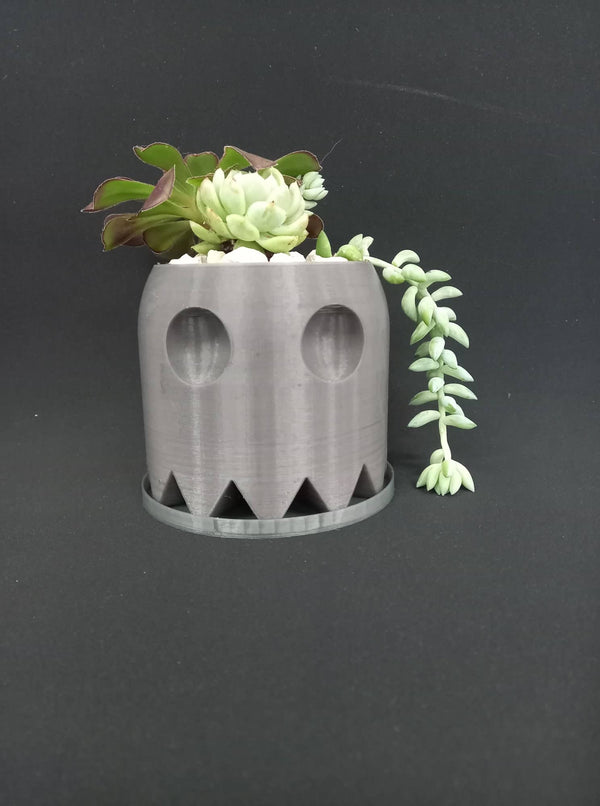 3D Printed Succulent Planters