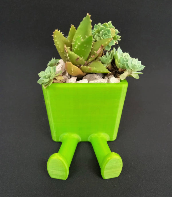 3D Printed Succulent Planters
